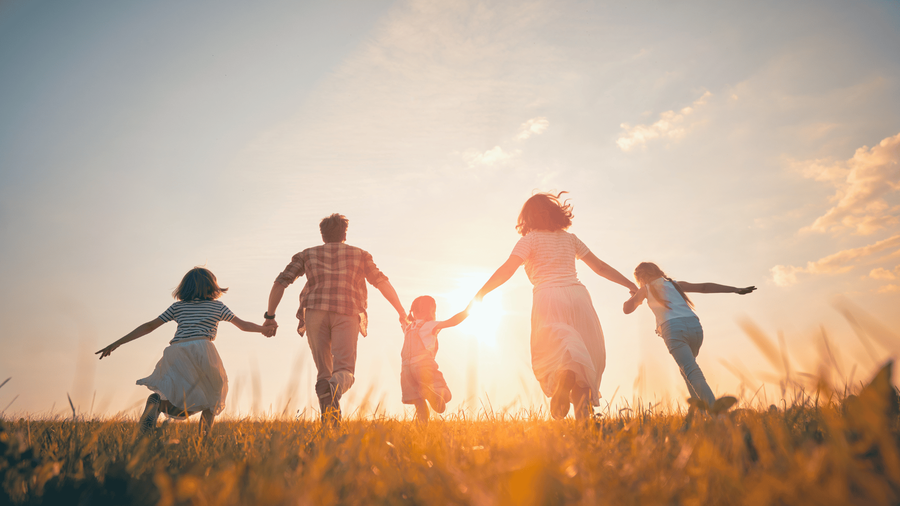 Direito de família: estrutura e dinâmica