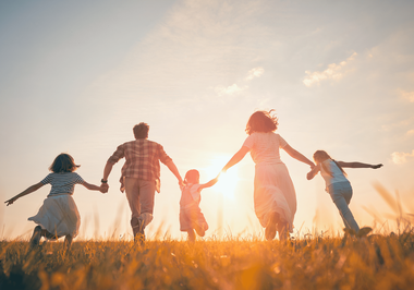 Direito de família: estrutura e dinâmica